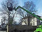 Kronenpflege mit Telskoplader